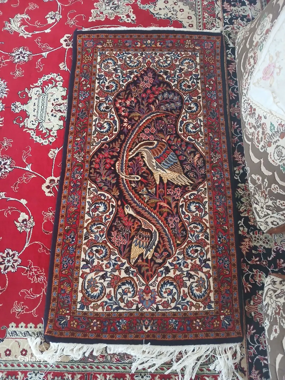 قالیچه|فرش|قره چای, |دیوار