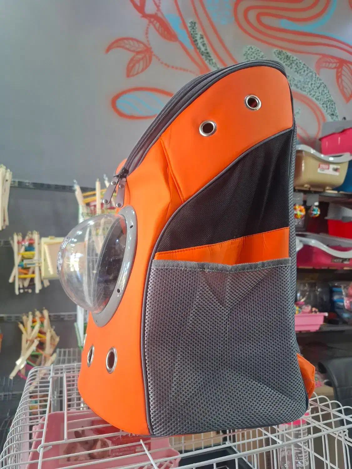 کوله پشتی حباب دار|لوازم جانبی حیوانات|قم, حکمت شمالی|دیوار