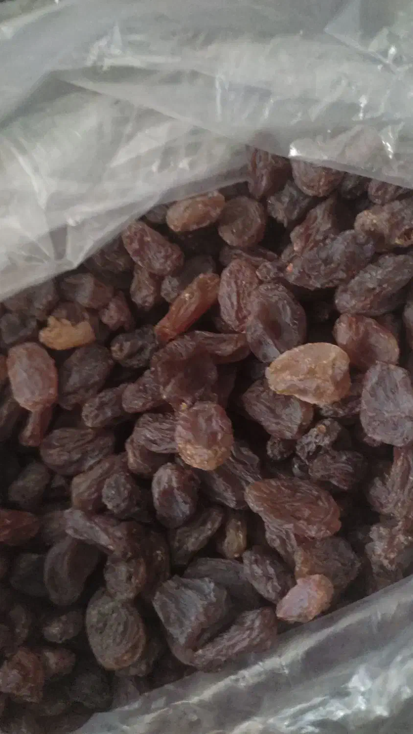 کشمش آفتایی|خوردنی و آشامیدنی|شیراز, قلعه نو|دیوار