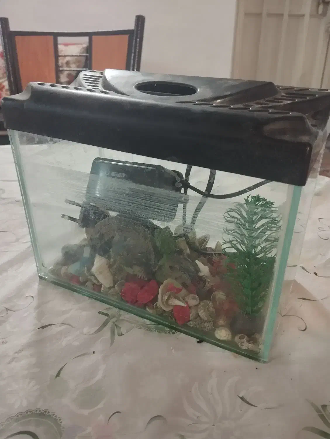 اکواریوم|ماهی|شیراز, شهرک پرواز|دیوار