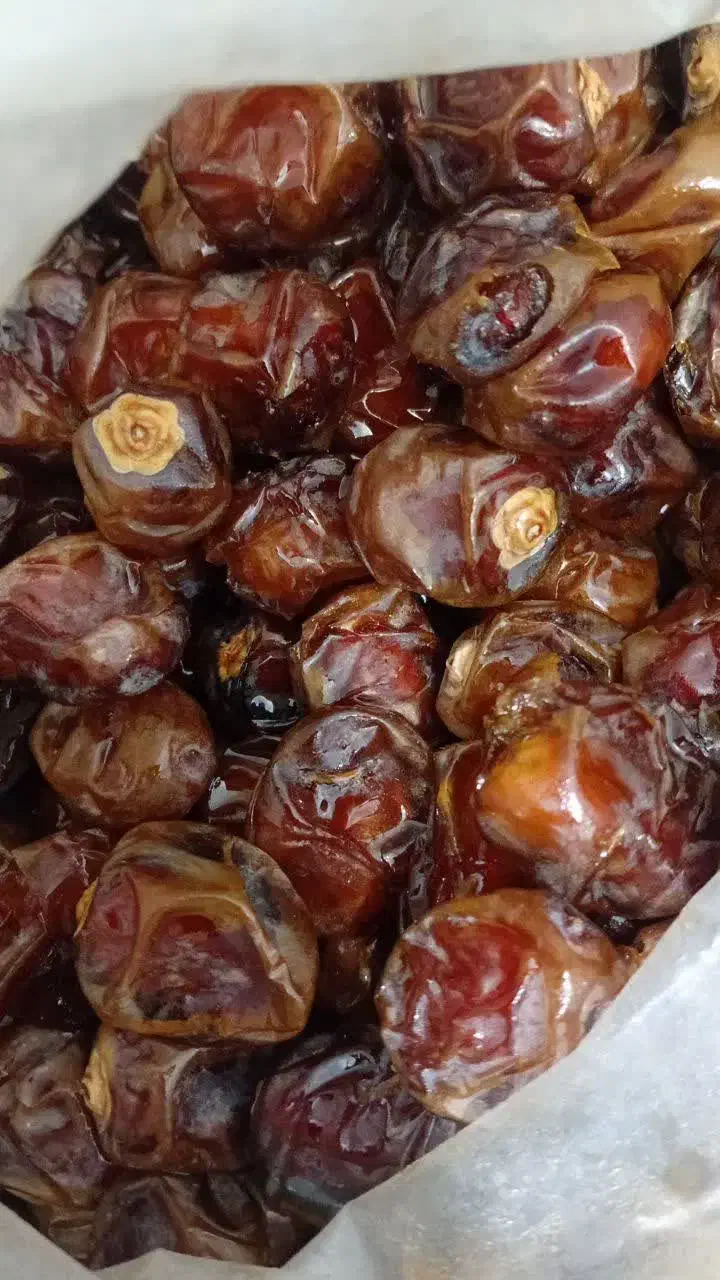 خرما برحی ابادان|خوردنی و آشامیدنی|قم, یزدان‌شهر|دیوار