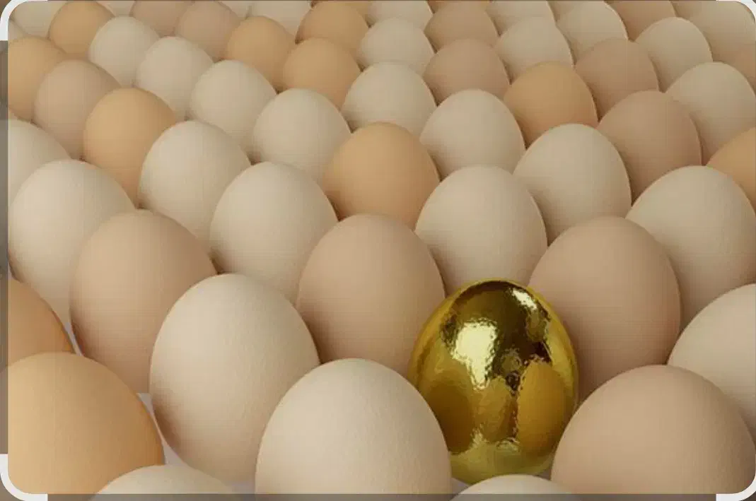 زندگی|آرایشی، بهداشتی، درمانی|ماهیدشت, |دیوار