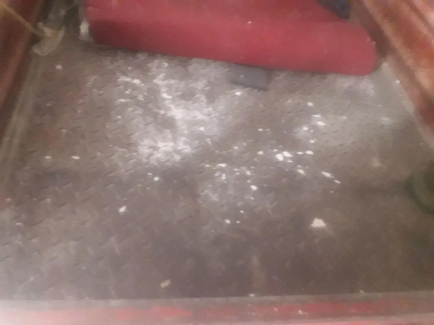 سه چرخه csp|موتورسیکلت|مراغه, |دیوار