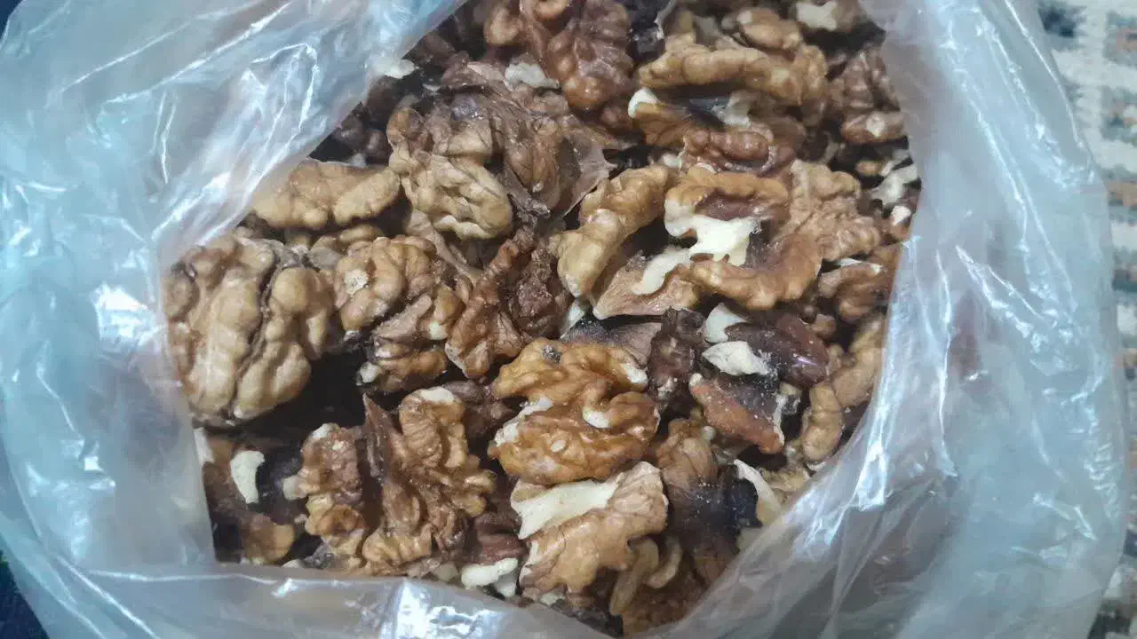 گردو وشنوه|خوردنی و آشامیدنی|قم, شهرک سازمان آب|دیوار