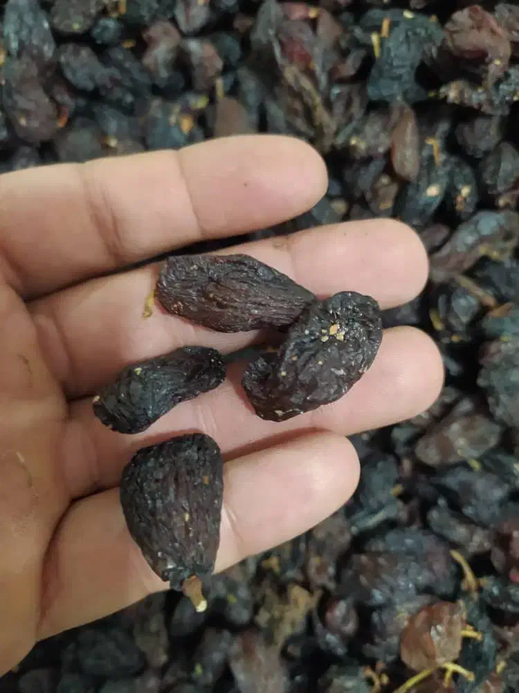 کشمش خوراکی و ضایعات|خوردنی و آشامیدنی|ساوه, |دیوار