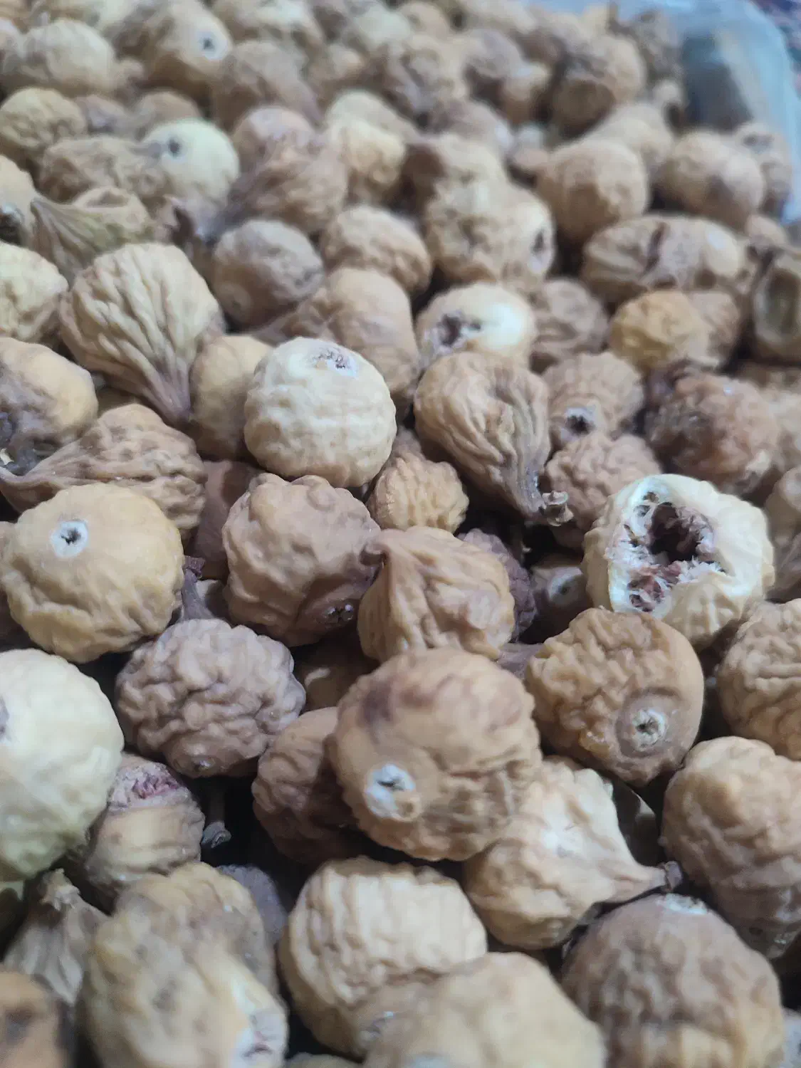 انجیر|خوردنی و آشامیدنی|شیراز, گلشن|دیوار