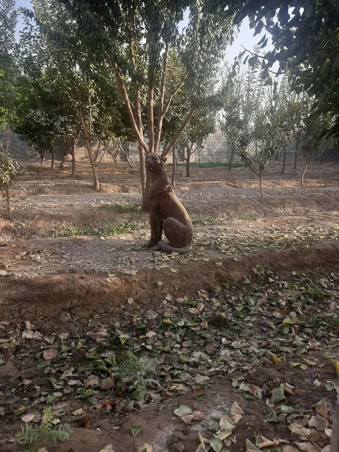 باغ چهار دیواری|فروش خانه و ویلا|اصفهان, ارداجی|دیوار