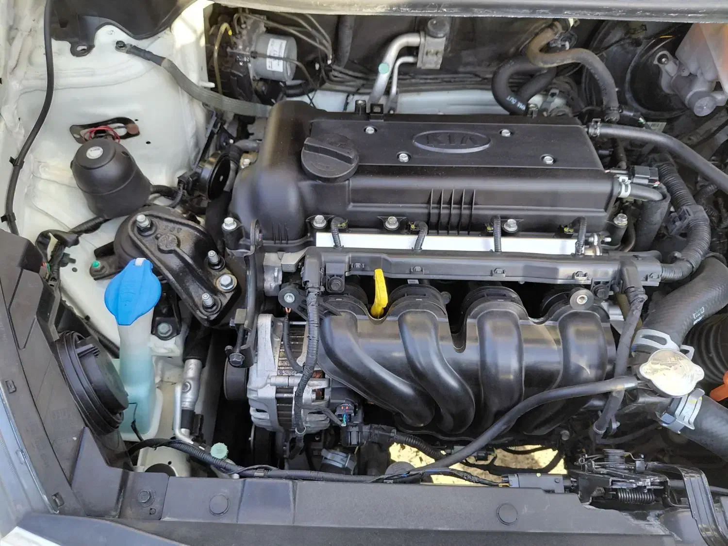 فروش ماشین کیاریو ۲۰۱۶ منطقه|خودرو سواری و وانت|خمام, |دیوار