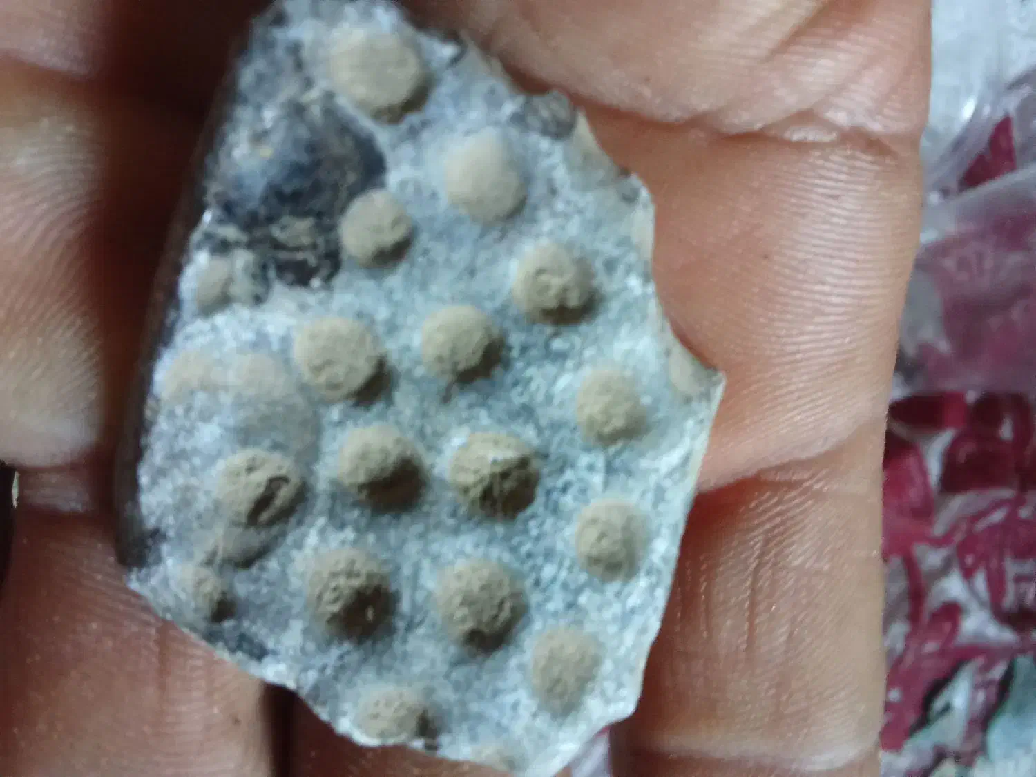 فروش انواع سنگ و شیشه های قیمتی|جواهرات|جیرفت, |دیوار