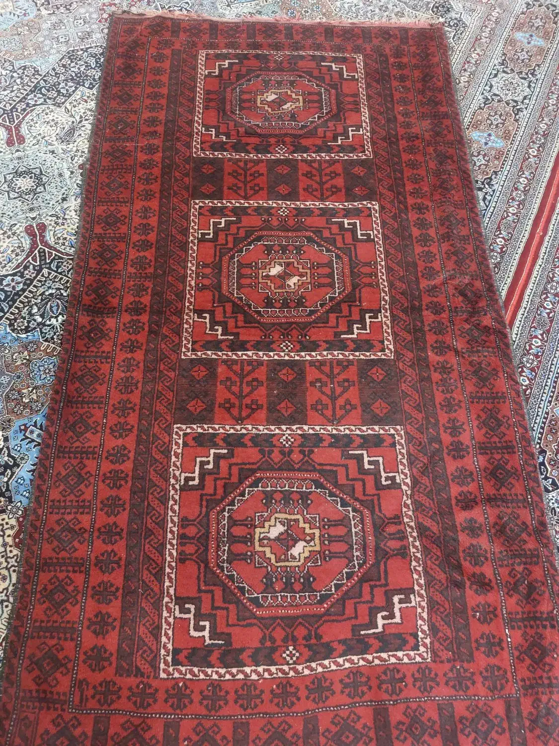 قالیچه دست بافت بلوچی|فرش|زاهدان, |دیوار