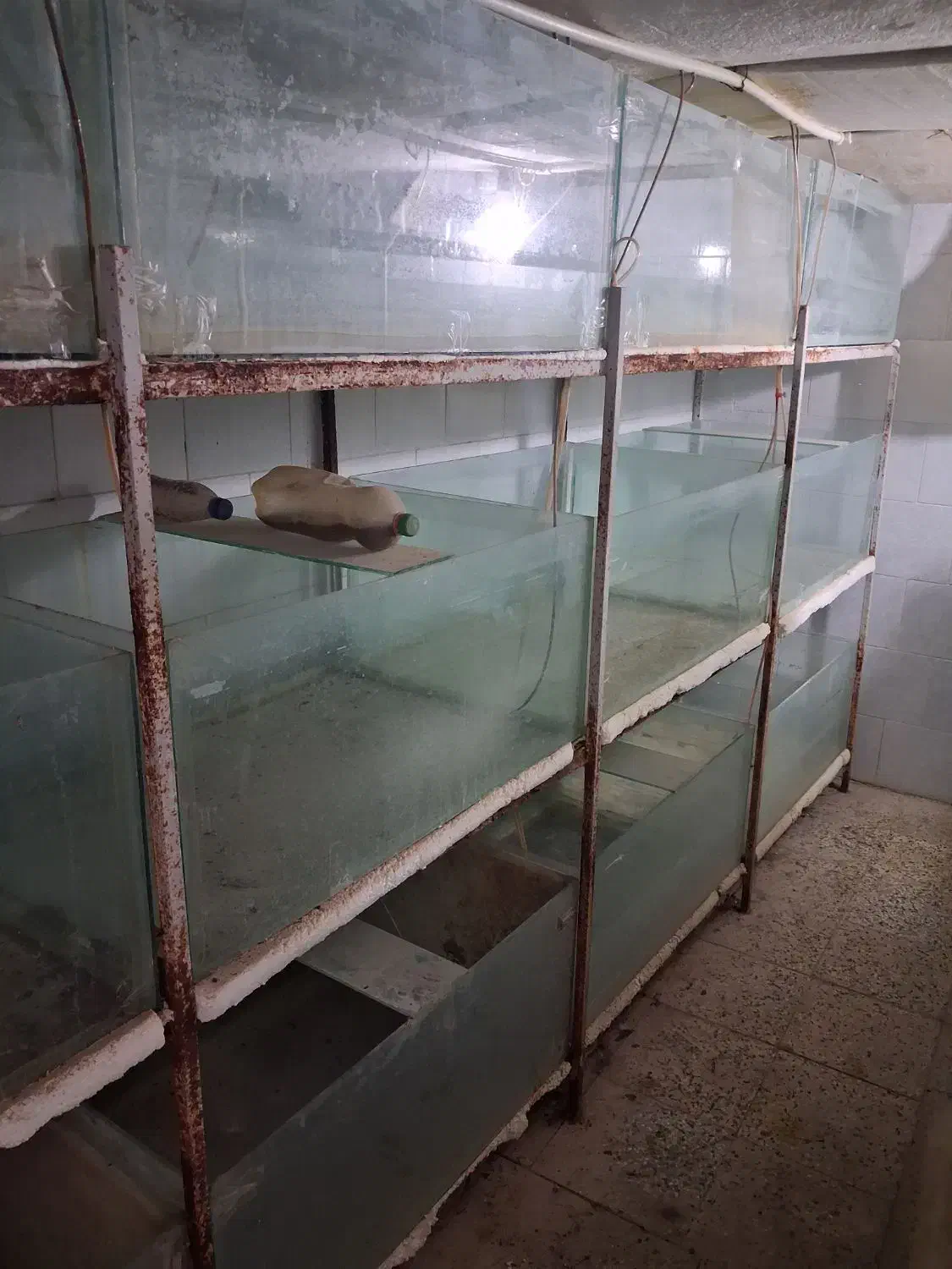 ۴۵ عدد اکواریوم پرورش ماهی زینتی|ماهی|ساوه, |دیوار