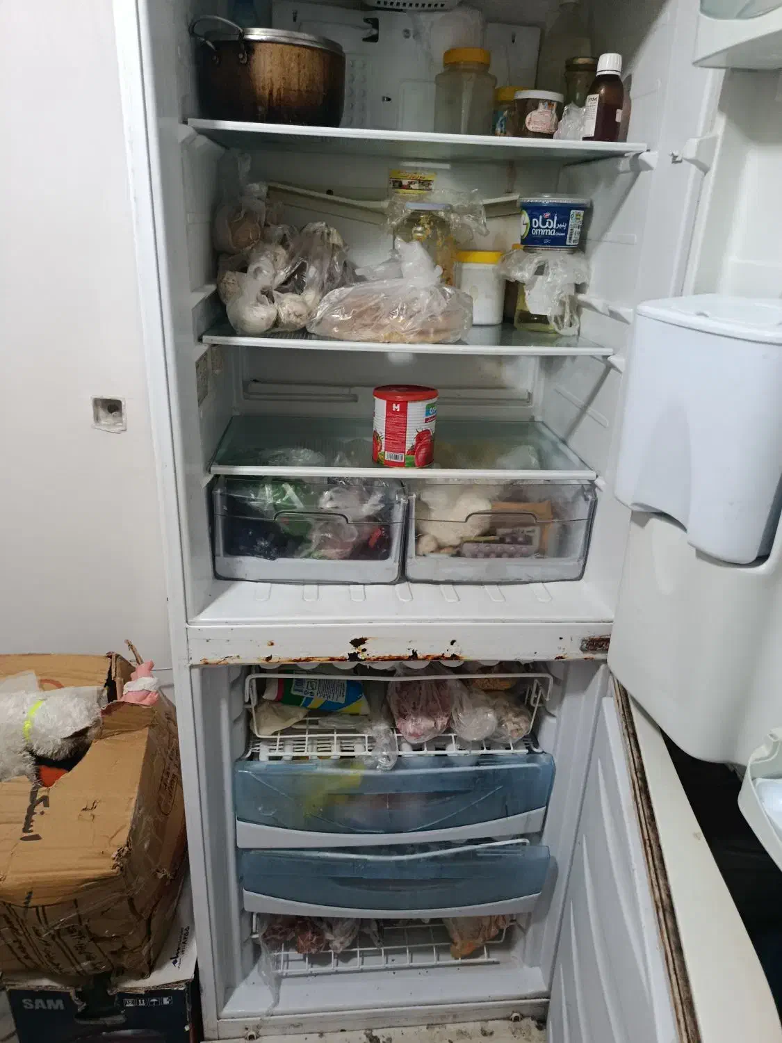 یخجال|یخچال و فریزر|بندرعباس, |دیوار