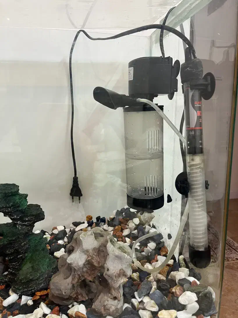 آکواریوم شیشه خم /با سنگ و فیلتر و بخاری تمییز|ماهی|تهران, مروارید شهر|دیوار