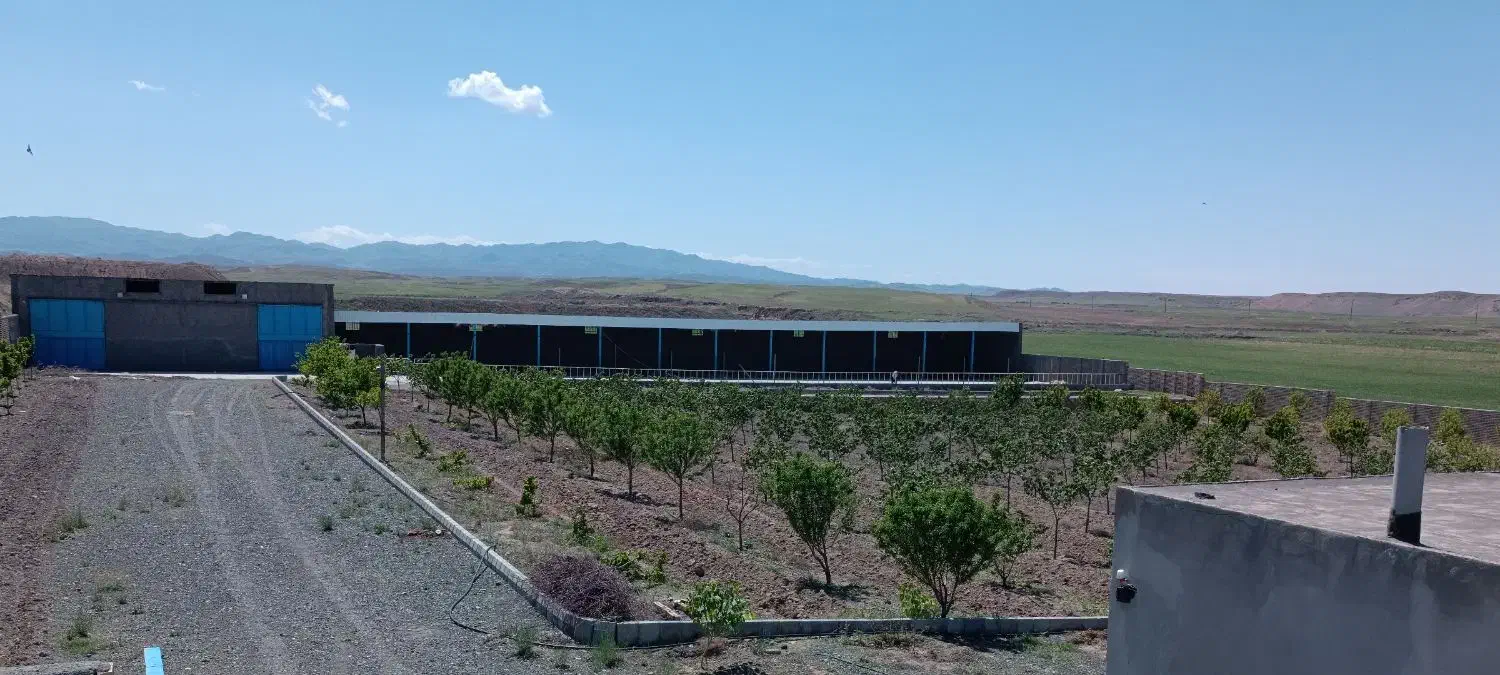 گاوداری صنعتی پرواری|فروش دفتر صنعتی، کشاورزی، تجاری|فریمان, |دیوار