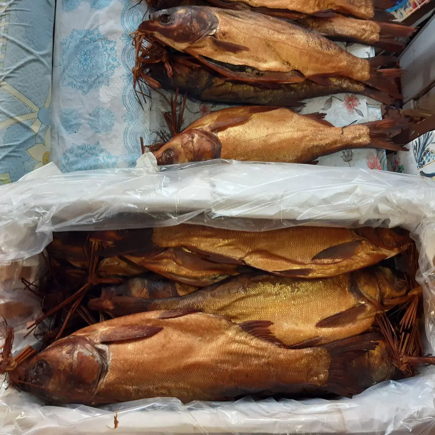 ماهی دودی بیگت|ماهی|بندر انزلی, سوسر|دیوار