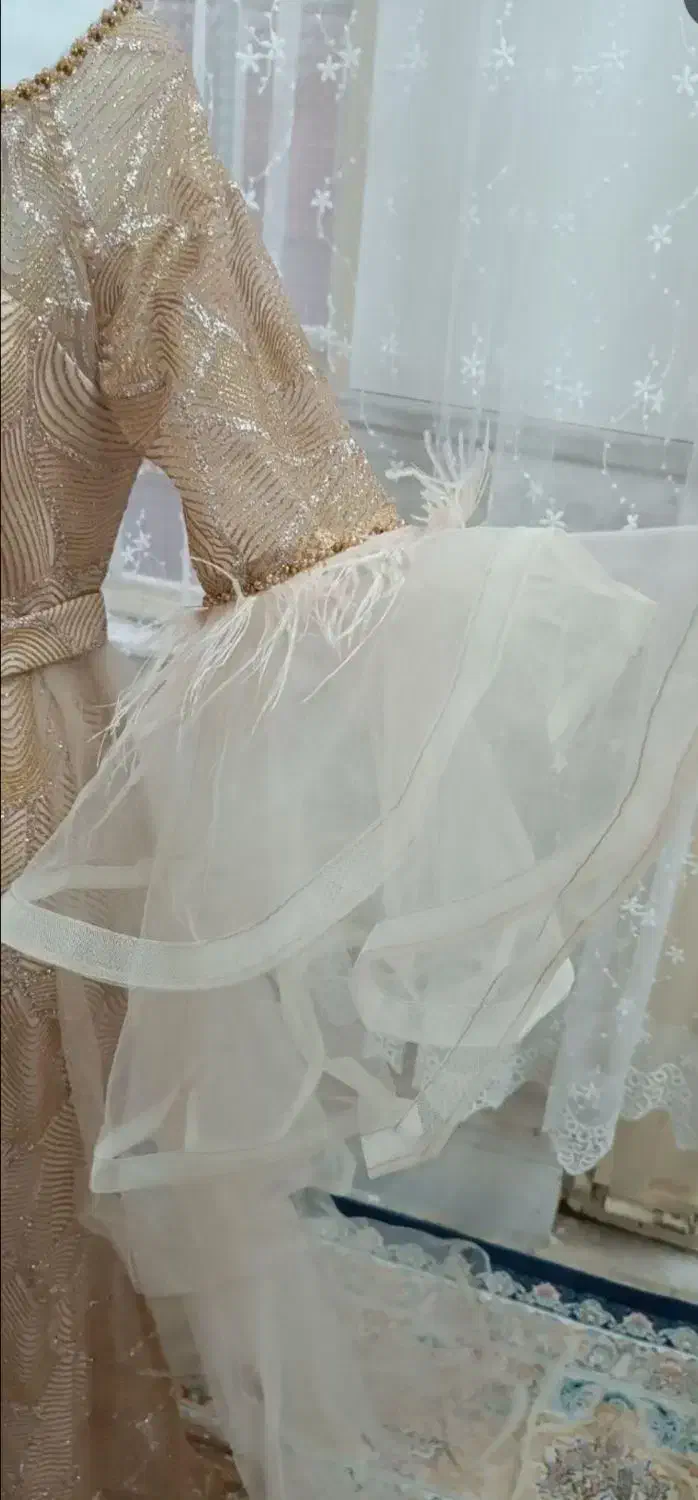 لباس مجلسی|لباس|سیرجان, |دیوار