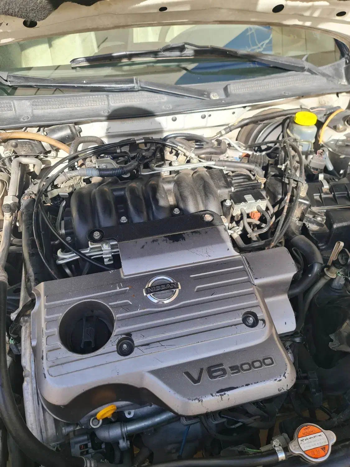 سواری ماکسیما|خودرو سواری و وانت|مشهد, سرافرازان|دیوار