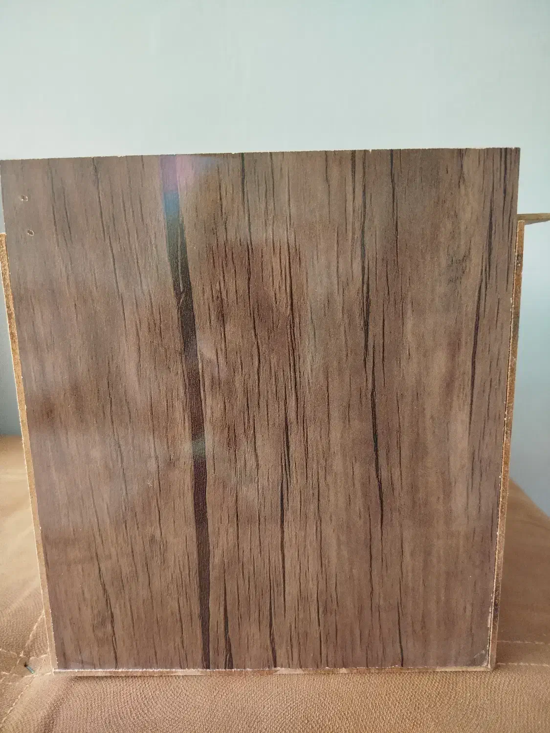 لانه عروس هلندی|لوازم جانبی حیوانات|مرودشت, مسجد رسول‎|دیوار