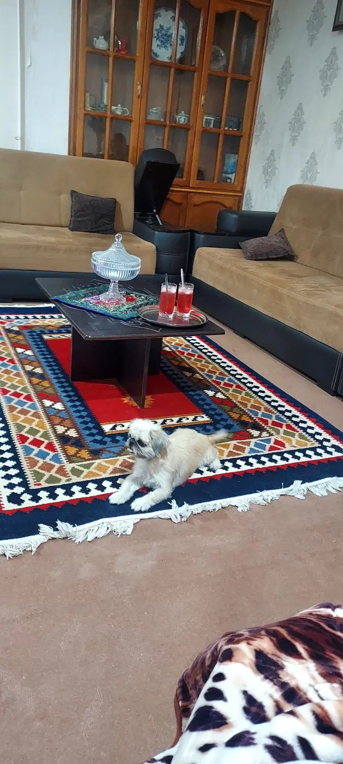 مبل ال|مبلمان خانگی و میز عسلی|فلاورجان, |دیوار