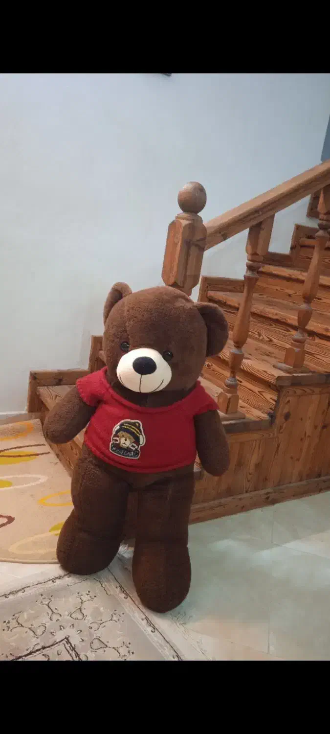 خرس قهوه‌ای|اسباب‌‌بازی|نوشهر, |دیوار