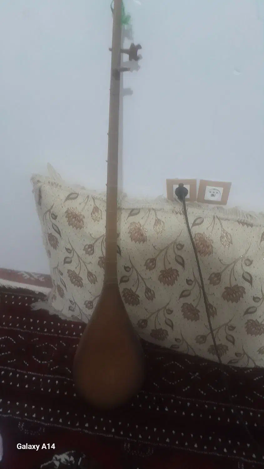 دوتار قدیمی|سازهای سنتی|گلبهار, شهر جدید گلبهار|دیوار