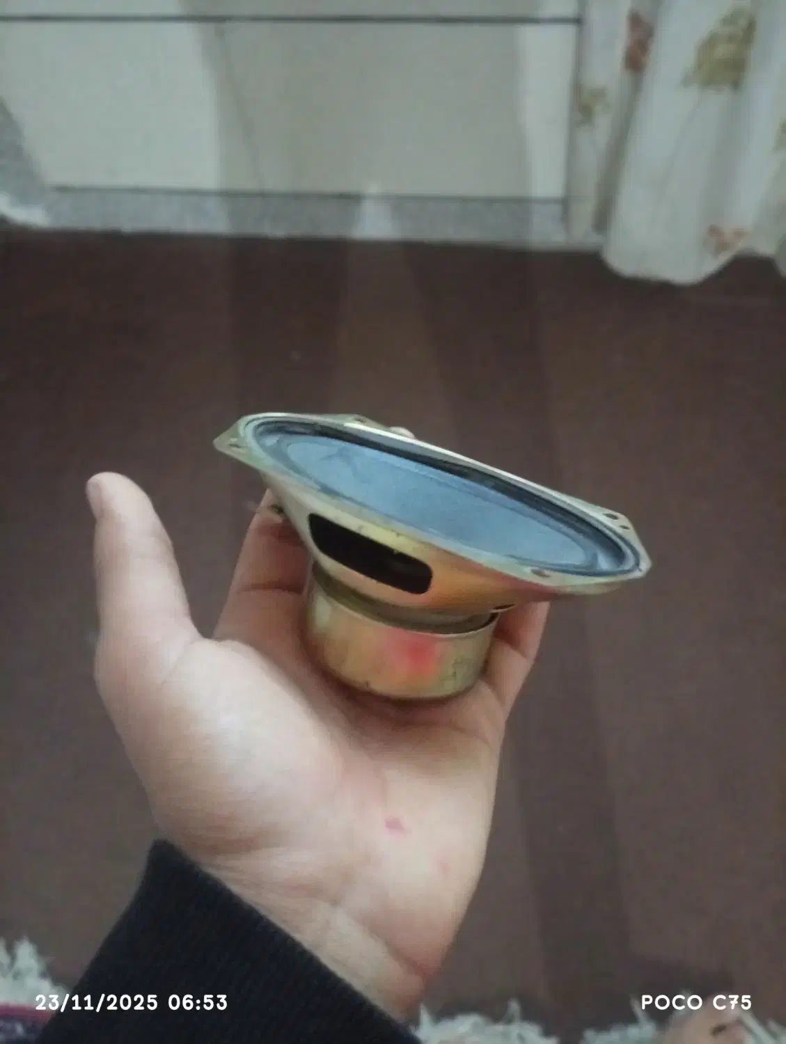 بلند گوی بیزی|سیستم صوتی خانگی|بندر گز, |دیوار