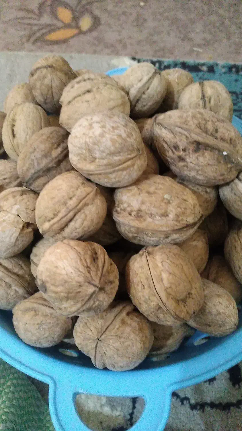 خرمای تازه.ابلیموتازه.انجیر.گردو|خوردنی و آشامیدنی|زارچ, |دیوار