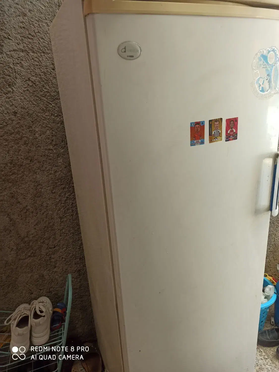 فریزر|یخچال و فریزر|یاسوج, |دیوار