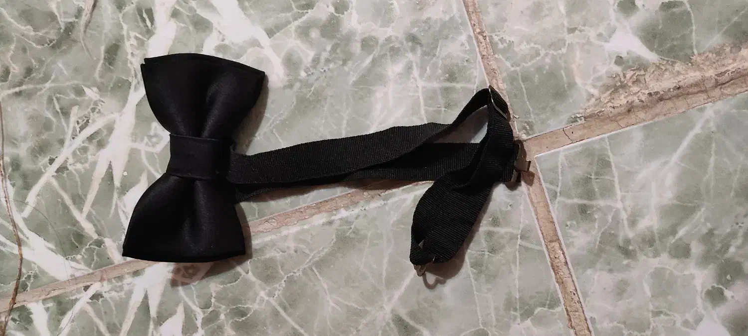 ساس بند و کروات پاپیونی|کیف، کفش، کمربند|شهرکرد, |دیوار