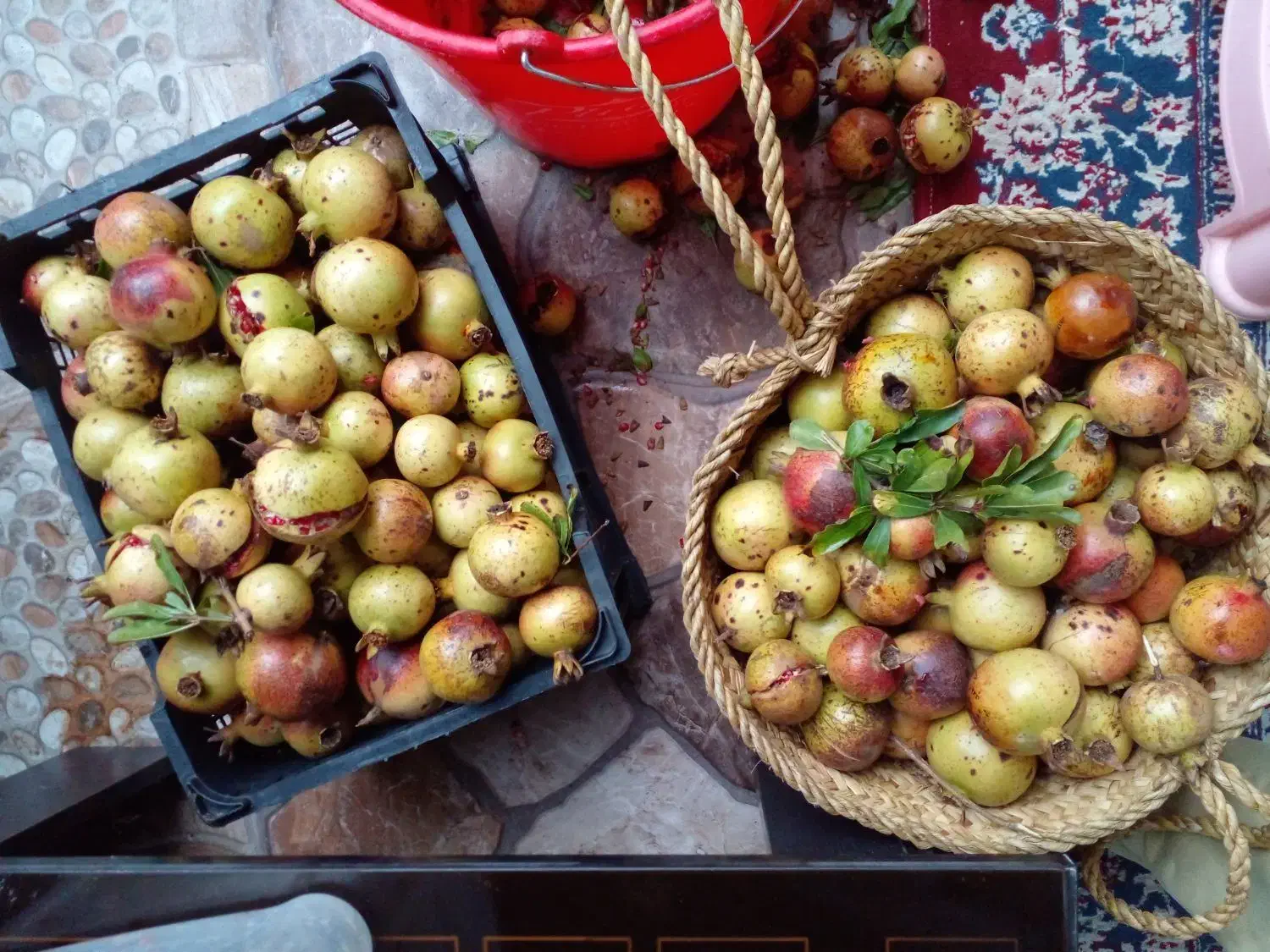 انار ترش و ابدار|خوردنی و آشامیدنی|شلمان, |دیوار