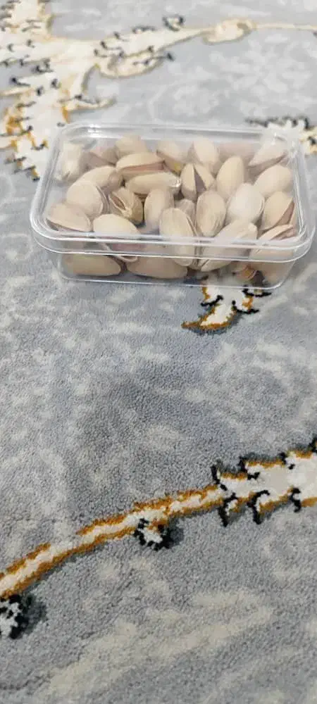 پسته تازه امساله شور وخام در وزن های کم و درب دار|خوردنی و آشامیدنی|تهران, وحیدیه|دیوار