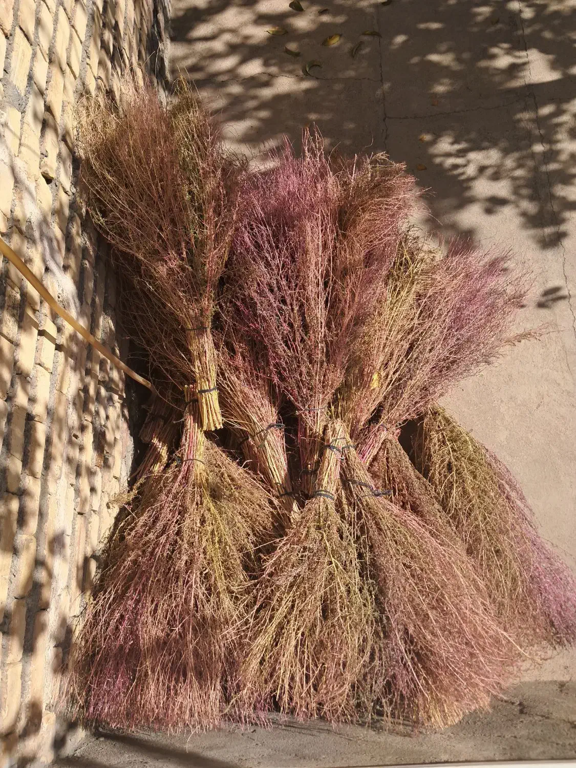 جارو|لوازم نظافت|خوی, |دیوار