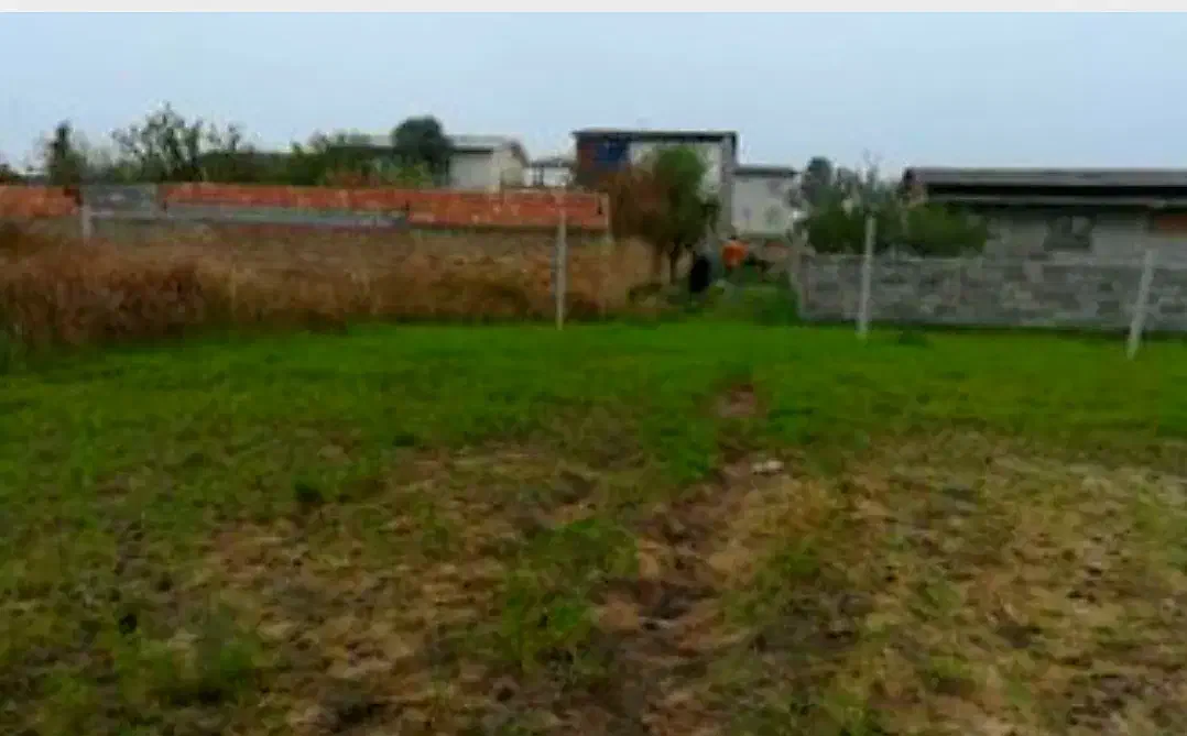 زمین باغ در شهر سیس تمام چک|فروش زمین و ملک کلنگی|شبستر, |دیوار