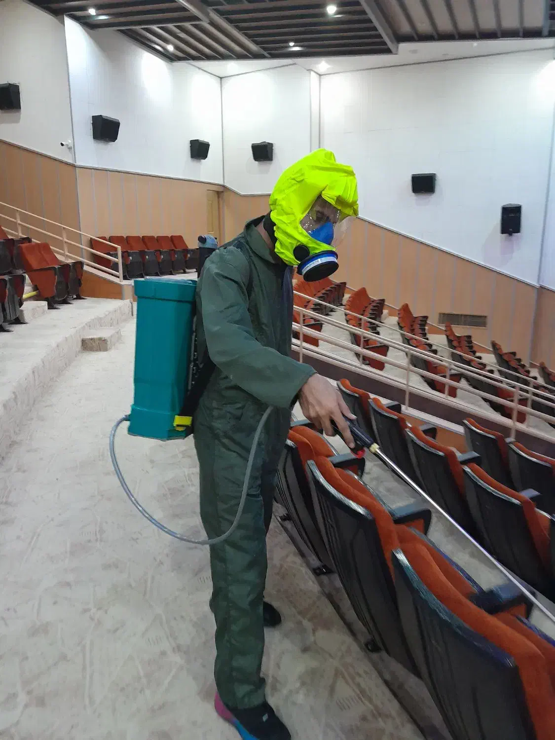 سم پاشی تضمینی تحت نظر دکتری حشره شناسی، مجوز رسمی|خدمات نظافت|کرمانشاه, |دیوار