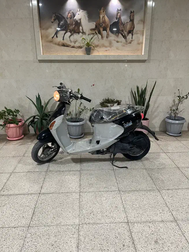 پاکشتی سوزوکی پالت ادرس|موتورسیکلت|بندرعباس, |دیوار