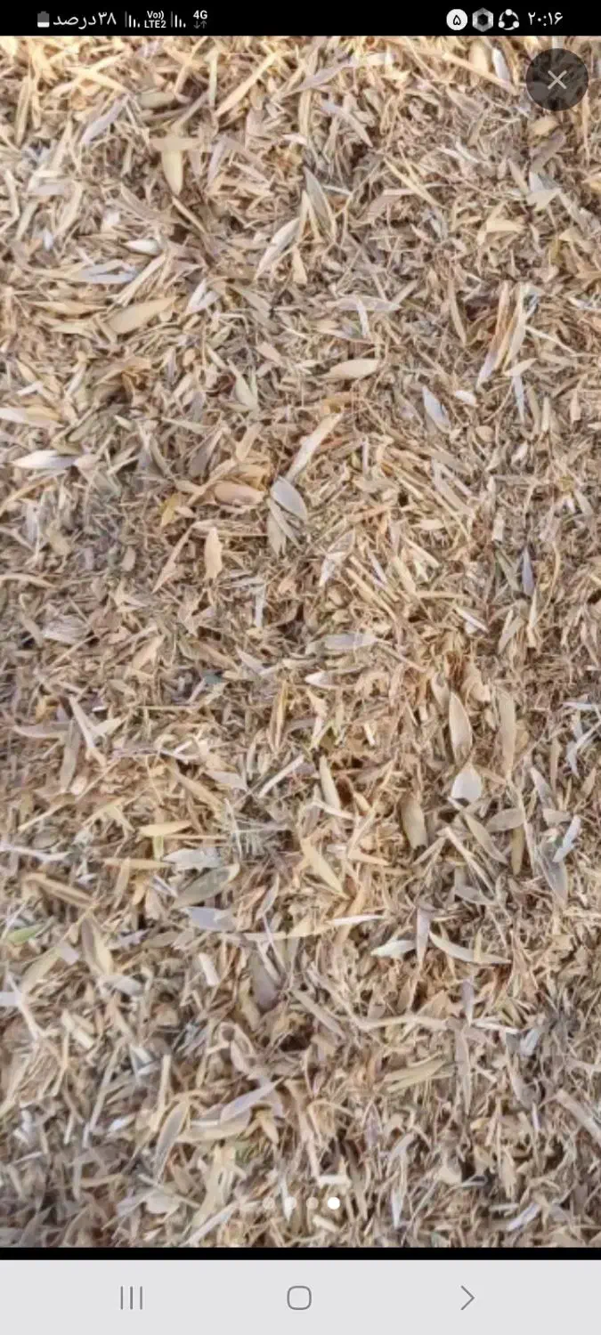 کاه لوبیا وکاه نخود|لوازم جانبی حیوانات|ابهر, |دیوار