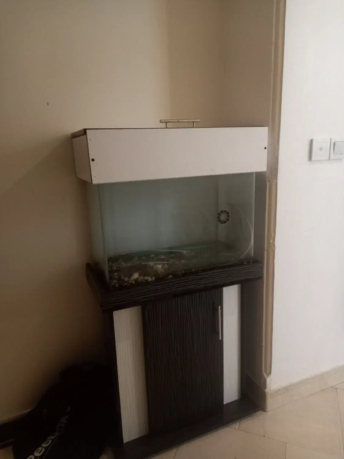 آکواریوم ۶۰ * ۵۰|ماهیگیری|کرج, دهقان ویلا|دیوار