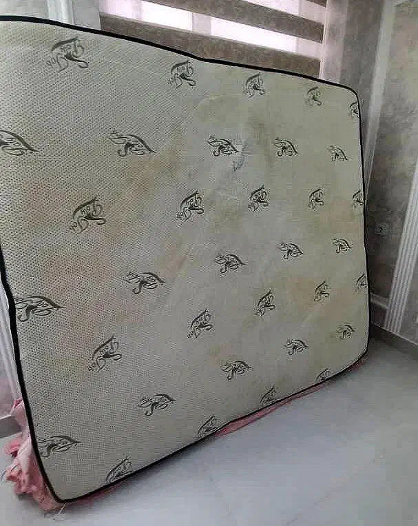 مبلشویی و فرش شویی سیار در بدره|خدمات نظافت|بدره, |دیوار