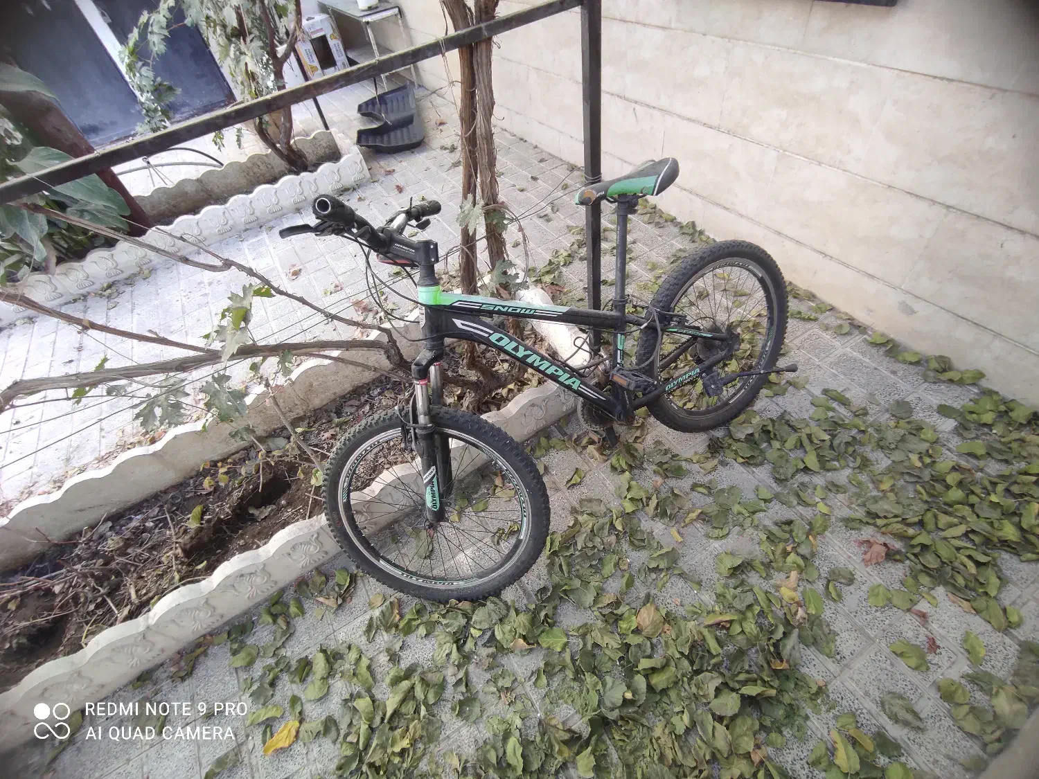 دوچرخه المپیا سایز ۲۴|دوچرخه، اسکیت، اسکوتر|فردیس, داوری|دیوار