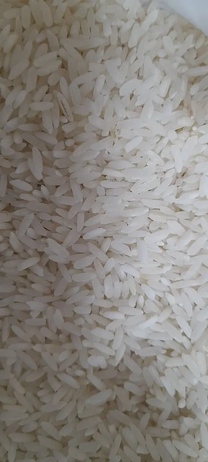 برنج ایرانی|خوردنی و آشامیدنی|اسکو, |دیوار