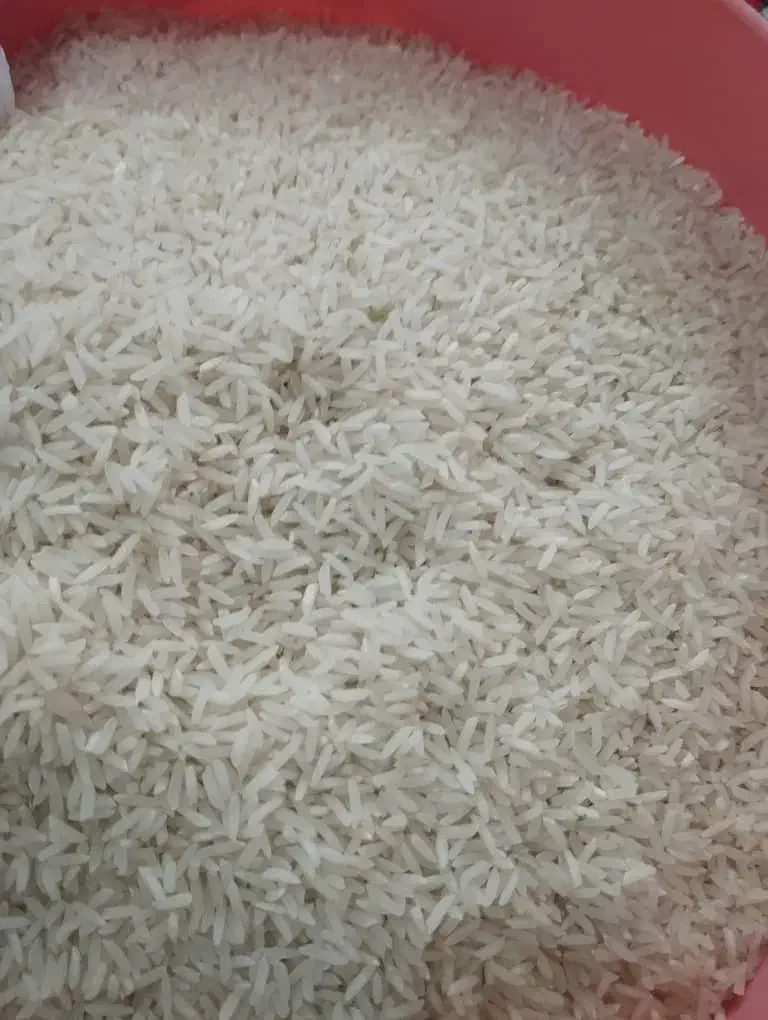 فروش برنج فجر|خوردنی و آشامیدنی|قرق, |دیوار