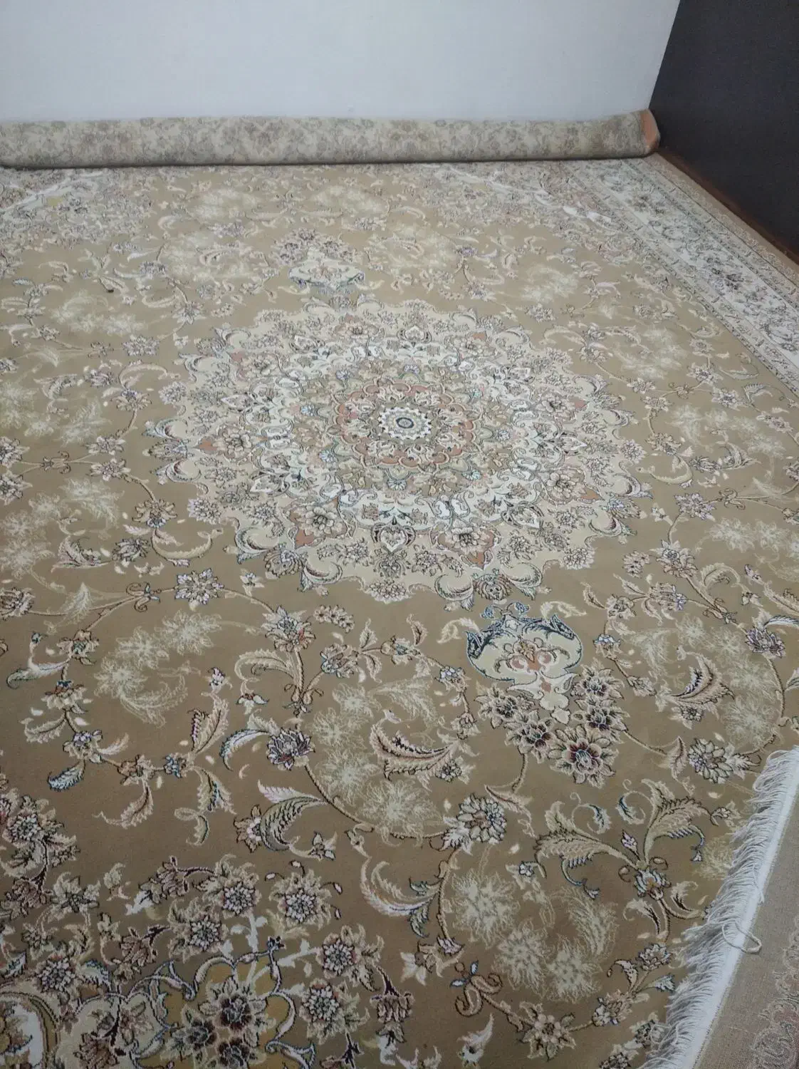 قالی ۱۲ متری|فرش|شیراز, کوی زهرا|دیوار