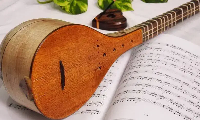 تدریس خصوصی سه تار نوازی صداسازی و آواز ایرانی|خدمات آموزشی|نورآباد ممسنی, |دیوار