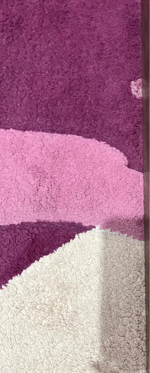 فرش|فرش|نیشابور, شهرک بسیج|دیوار