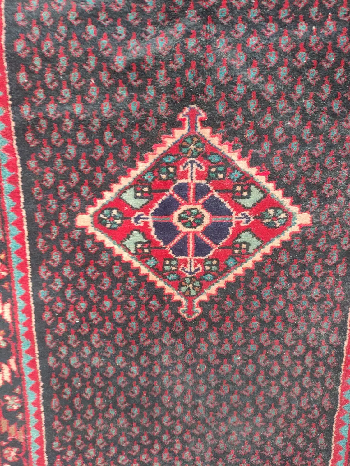 فرش دستباف|فرش|همدان, |دیوار