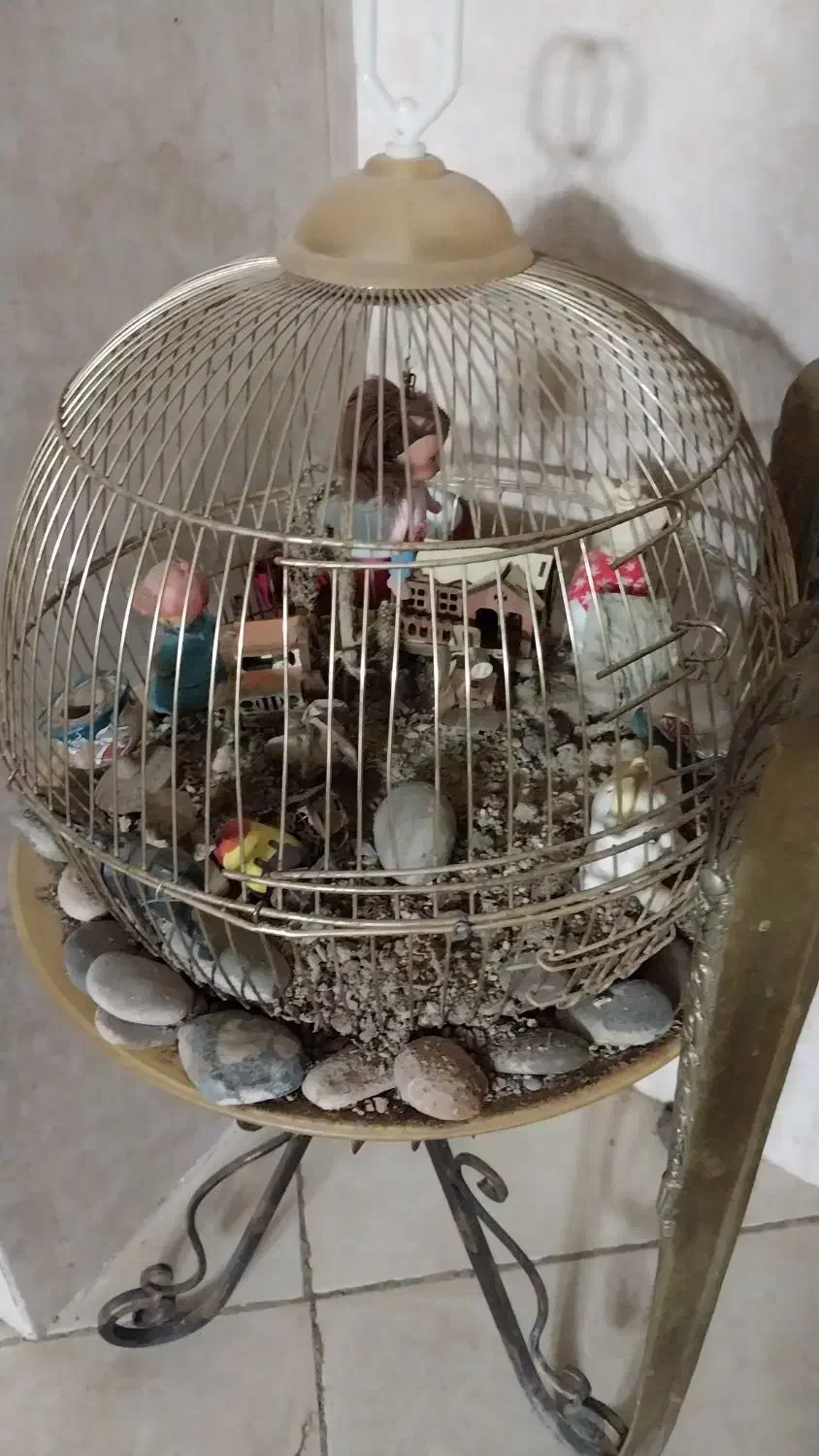 دکوری و تزیینی|لوازم جانبی حیوانات|پاکدشت, پاکدشت (مامازند)|دیوار