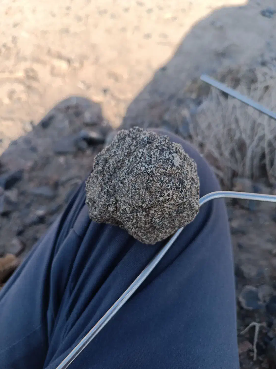 سنگ مریخ|کلکسیون اشیاء عتیقه|نهبندان, |دیوار