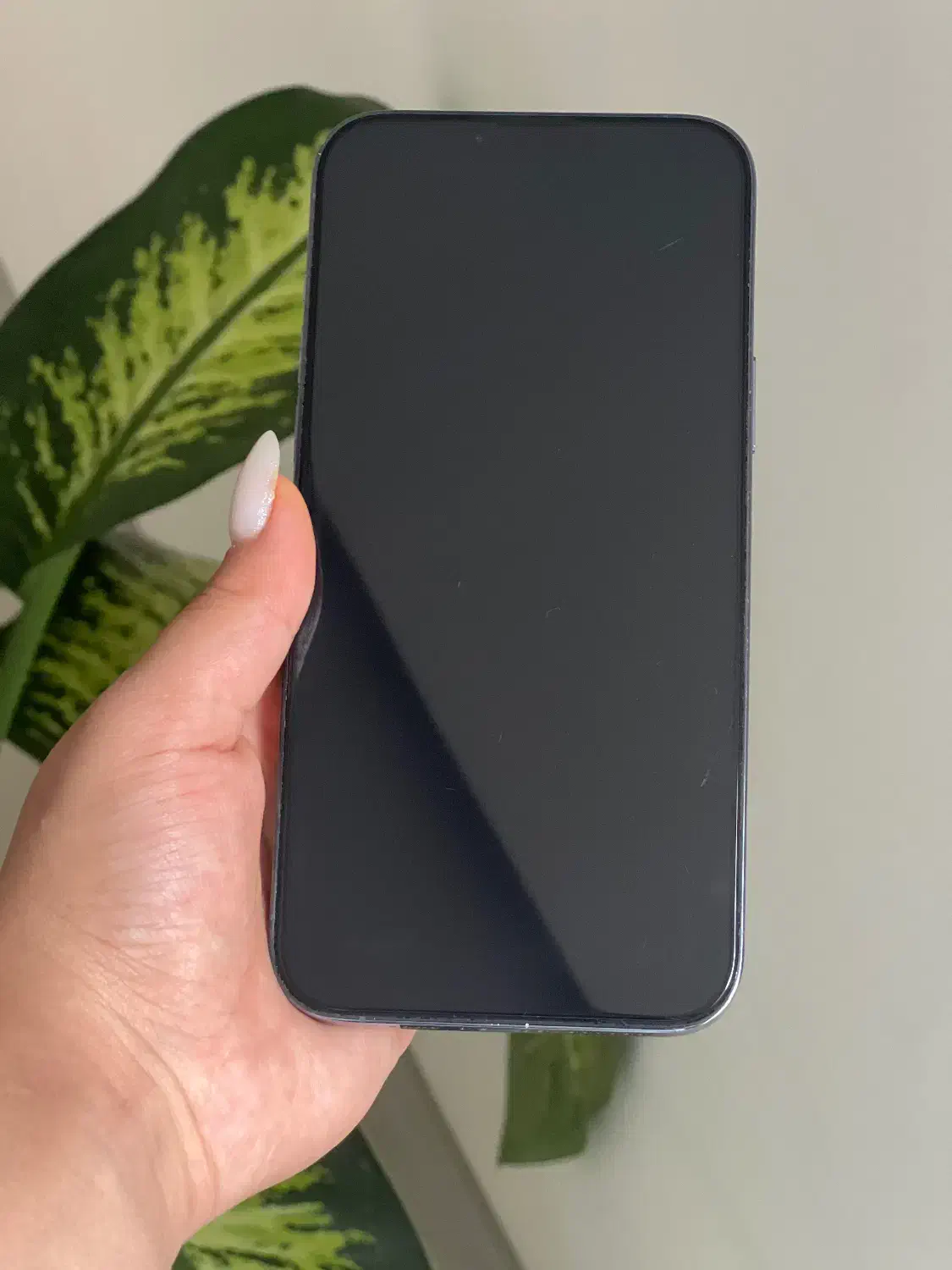 آیفون 13pro max|موبایل|تربتحیدریه, مظفریه|دیوار