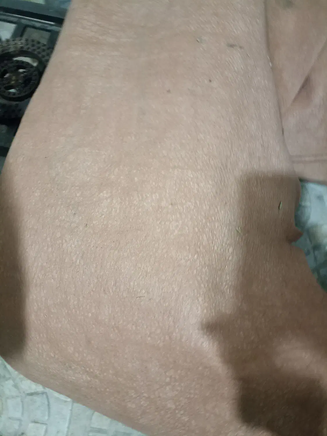 موکت|موکت|همدان, |دیوار