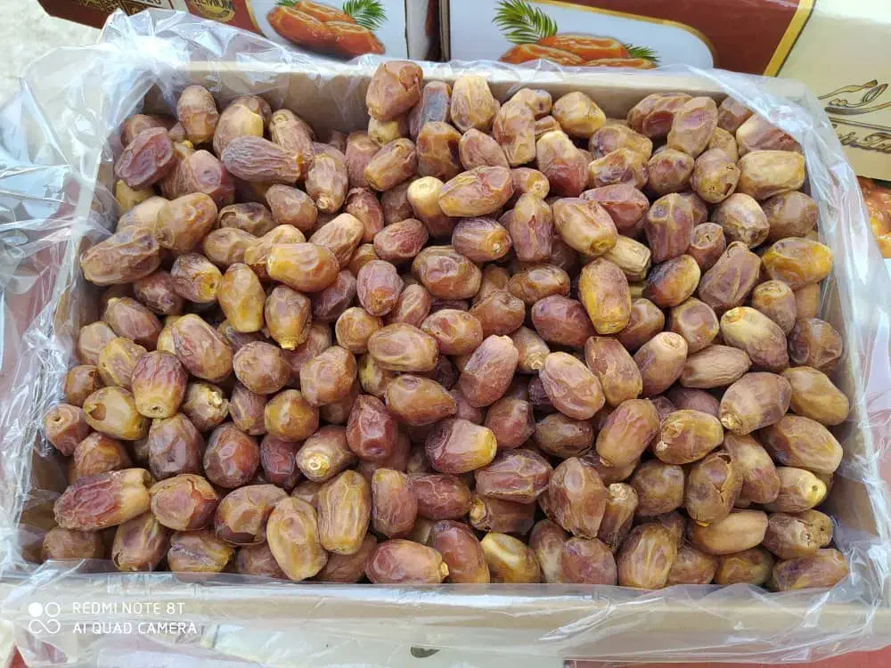خرمای قصب درجه یک|خوردنی و آشامیدنی|جهرم, |دیوار